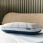 Adapt® ProHi Memory Foam Medium Pillow-1094610055
