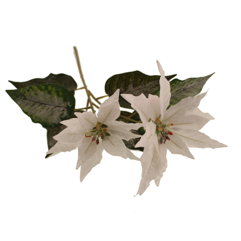 Poinsettia Arrangement