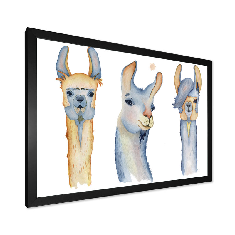 Dessin de joli lama II - reproduction sur toile, H 16 po x l 32 po, Cadre photo noir