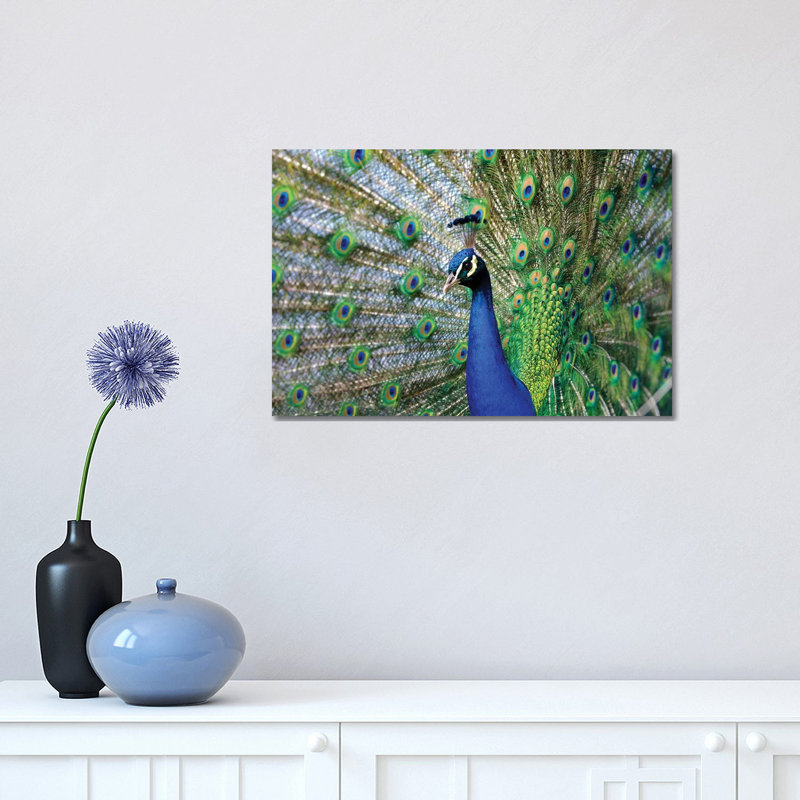 Beauty III by Goran Anastasovski - Wrapped Canvas Print, 30.48 cm H x 45.72 cm W