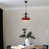 Rustic Red