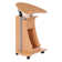 46.3'' H x 21.75'' W Laptop Cart with Wheels