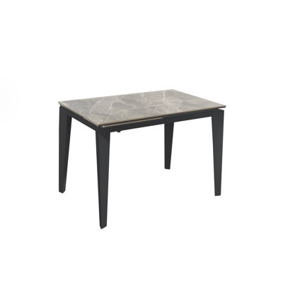 Brinton 80 cm Extendable Rectangular Glass Top Dining Table