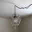 Photos des clients 1 de 1
