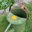 Metal Watering Can-75050055