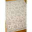 Tapis ivoire-14937345