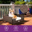 Canapé en rotin pour chien avec coussin en mousse-1765857773-1765857774
