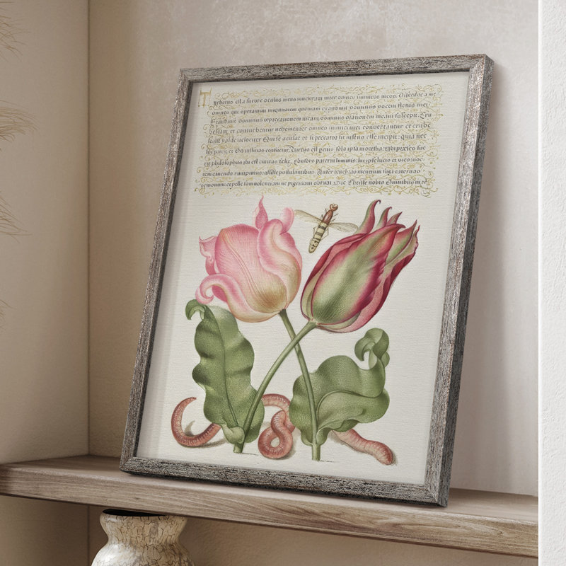 Hoefnagel Tropical Specimens X Framed Print - Solid Wood, 21" H x 17" W