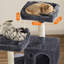 Tour à chat pour chats d'intérieur-1066574691