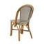 Paley Outdoor Dining Side Chair-1917583079