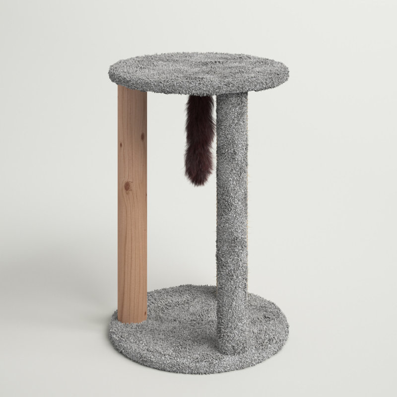 Articles pour griffes pour chat Efigenio, Gris