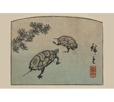 " Turtles (Kame) " by Ando Hiroshige