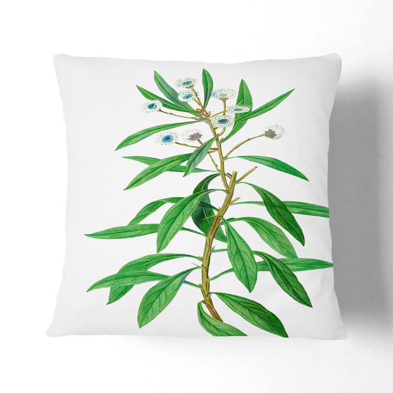 Floral Square Throw Cushion, 55cm H x 55cm W x 20cm D