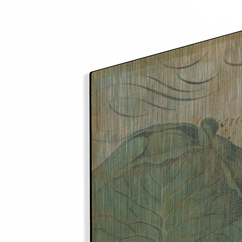" Veggie II " by NBL Studio, 24" H x 24" W