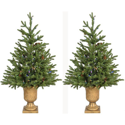 Carmel Pine 48' Lighted Fir Christmas Tree