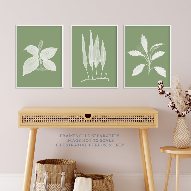 Sage Green Tree Plant Detailed Foliage Xray Imprint Monochrome Botanical - 3 Piece No Frame Print Set