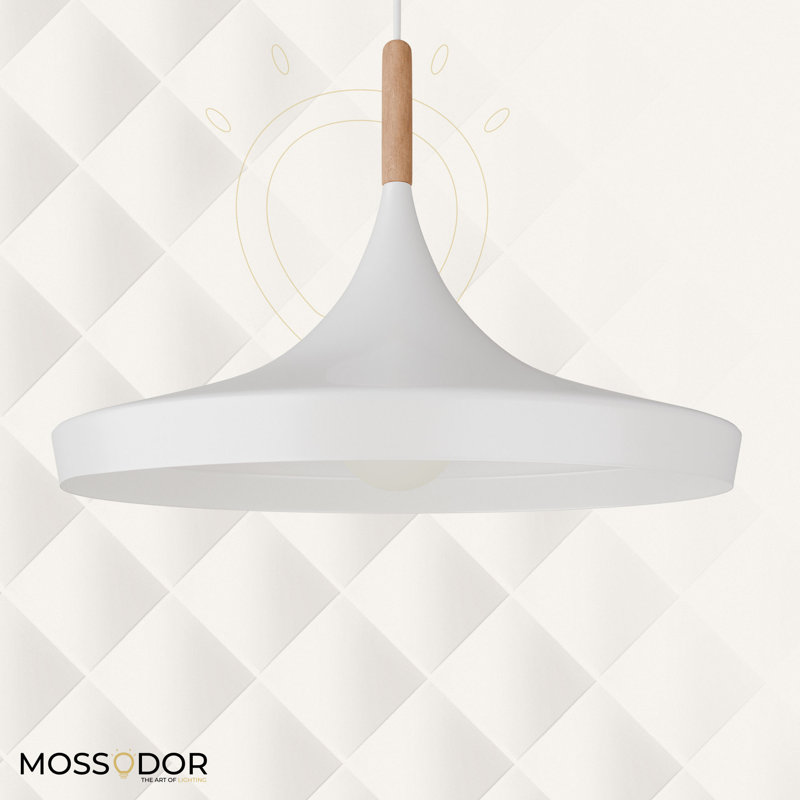 - Light Polished Nickel Dome Pendant