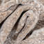 Tapis d'inspiration mondiale Bungalow Rose Escambia Echo-403319931