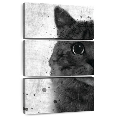 Brampt Black And White Cat