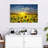 Alvord Sunflower Field Sunset Horizon-107676852