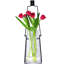 Vase murale en verre lanterne suspendue 19"