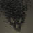 Bat Skull by Dirtydog_Creative - No Frame Print on Canvas-1897551835