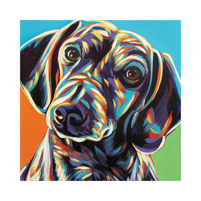 Painted Dachshund II by Carolee Vitaletti - Wrapped Canvas Gallery-Wrapped Canvas Giclée, 30.48 cm H x 30.48 cm W