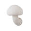 Applique murale champignon 1 lumière