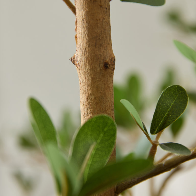  Arbre artificiel noir Adpi 6 pi, plantes artificielles résistantes aux rayons UV - tronc de bois véritable