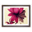 Blooming Flower - Single Picture Frame Print-1617642418-1617642421