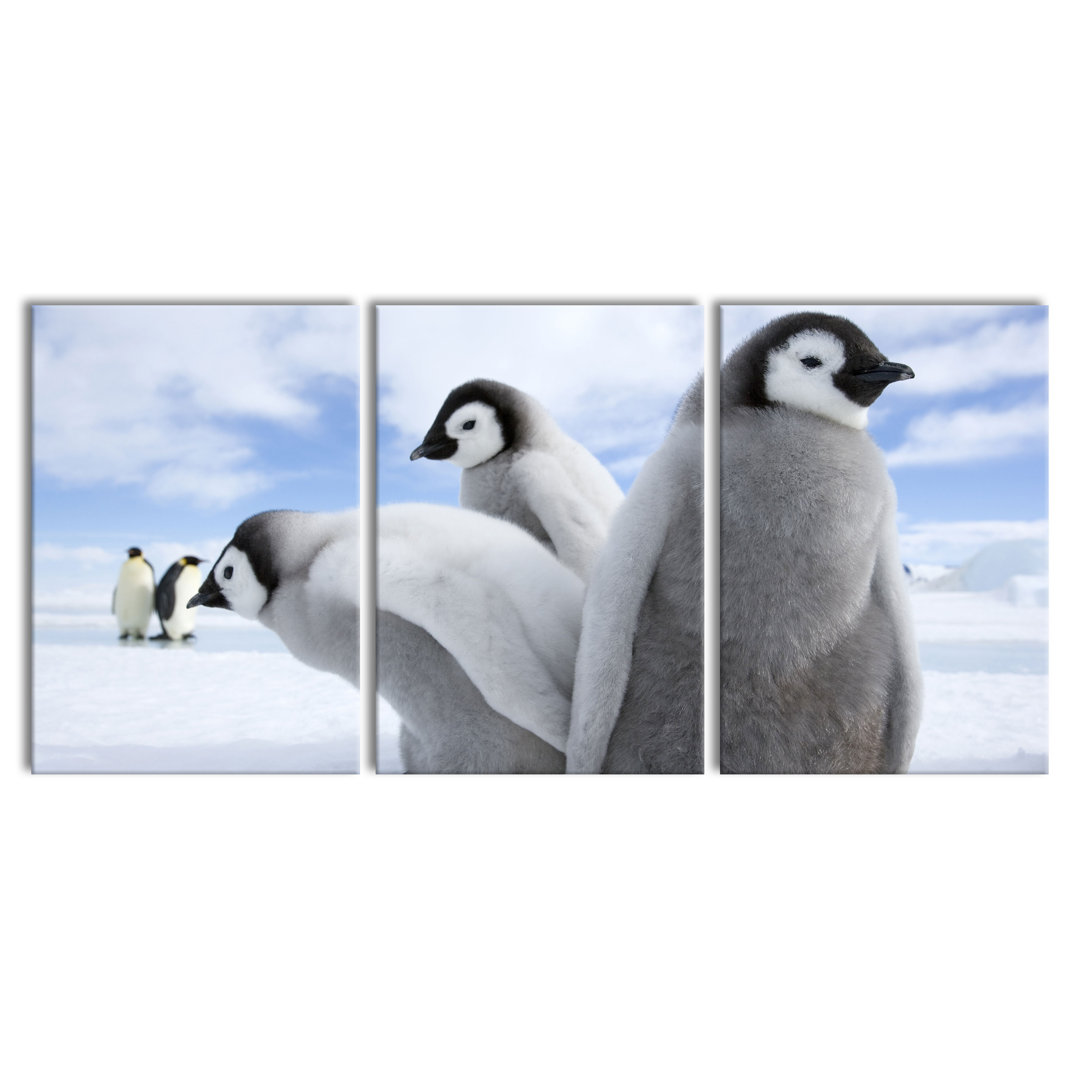 'Giant Tree in the Jungle' 3 Piece Emperor Penguins Photographic Art Print on Canvas