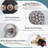 Single Handle 7-Spray Tub & Shower Faucet Set 1.8 GPM Handheld Shower With Brass Rough-In Valve-104429264