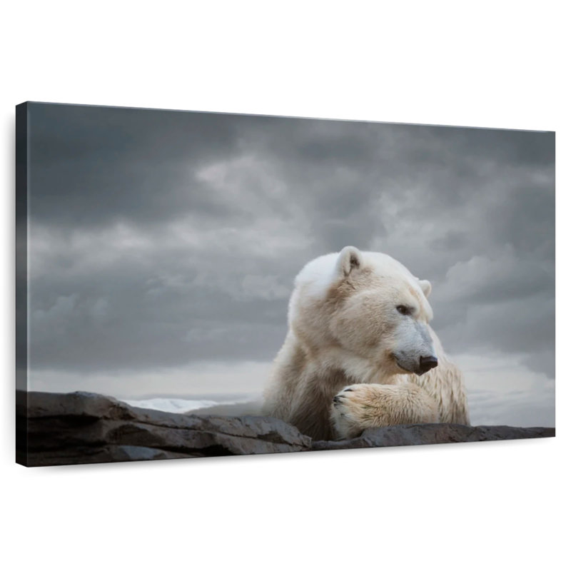 Tempête Brampt sur un ours polaire