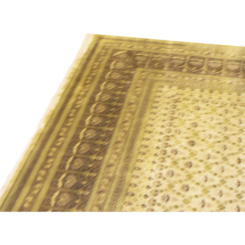 Hand Knotted Wool Indoor Rug