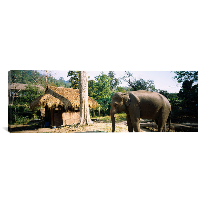 Reproduction de photo sur toile, H 24 po x l 72 po x P 1,5 po, Cadre noir