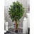 72'' Faux Ficus Tree in Pot