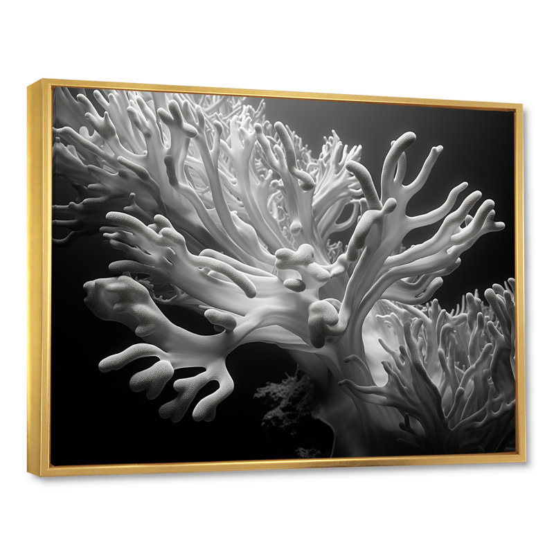 «Black and White Anemoner Color IV», reproduction d'art sur toile, H 16 po x l 32 po, Cadre flottant doré