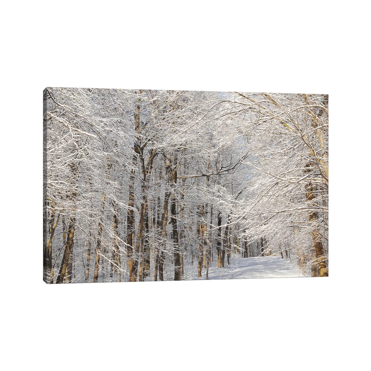 Union Rustic Winter Trail by Brian Wolf - Wrapped Canvas Art Prints ...