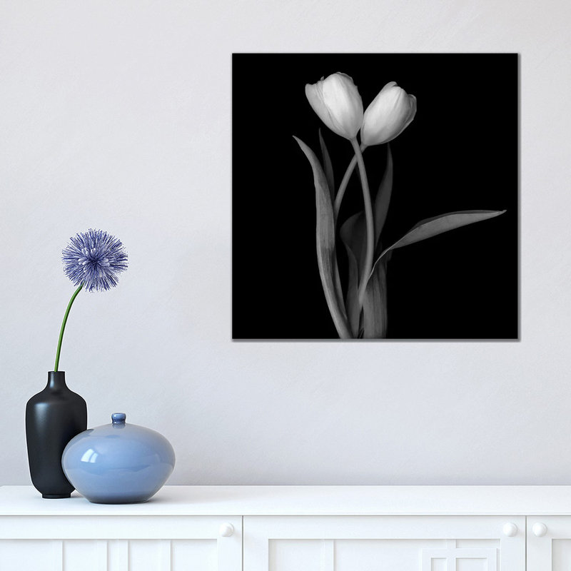 Tulip White I 1 Piece Wrapped Canvas Wall Art, 45.72cm H x 45.72cm W x 1.91cm D