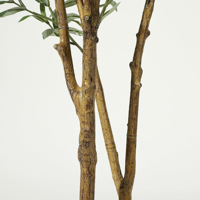 152cm Plant