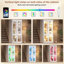 Display Cabinet-1557513428