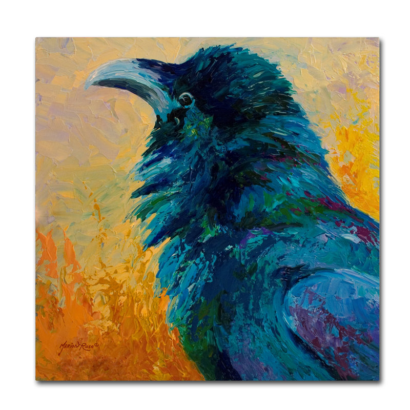 Kucera 'Crow Study' Print on Wrapped Canvas, 14" H x 14" W