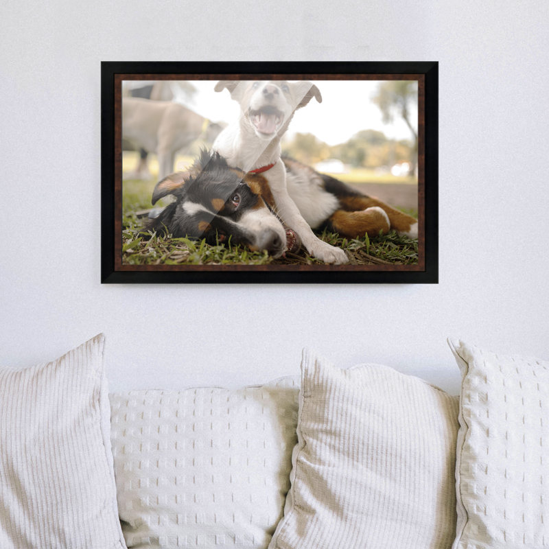 Cadre photo Akori, Brun, L 14 po x H 22 po