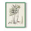 «Botanical Society Ferns X», reproduction encadrée - bois massif-998868045-998868047