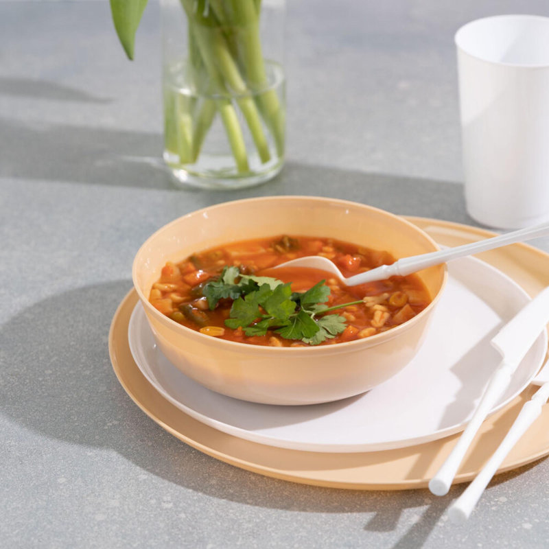 Disposable Serving Bowl