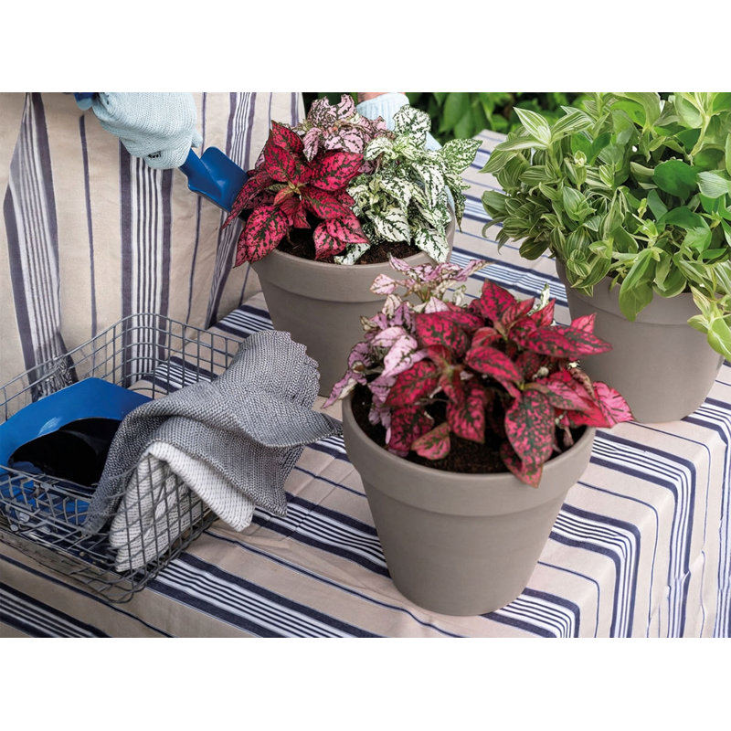 Grand pot Deroma standard - naturel (l 21 po x H 15 po) terre cuite - intérieur extérieur