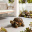Statue de tortue de jardin en résine