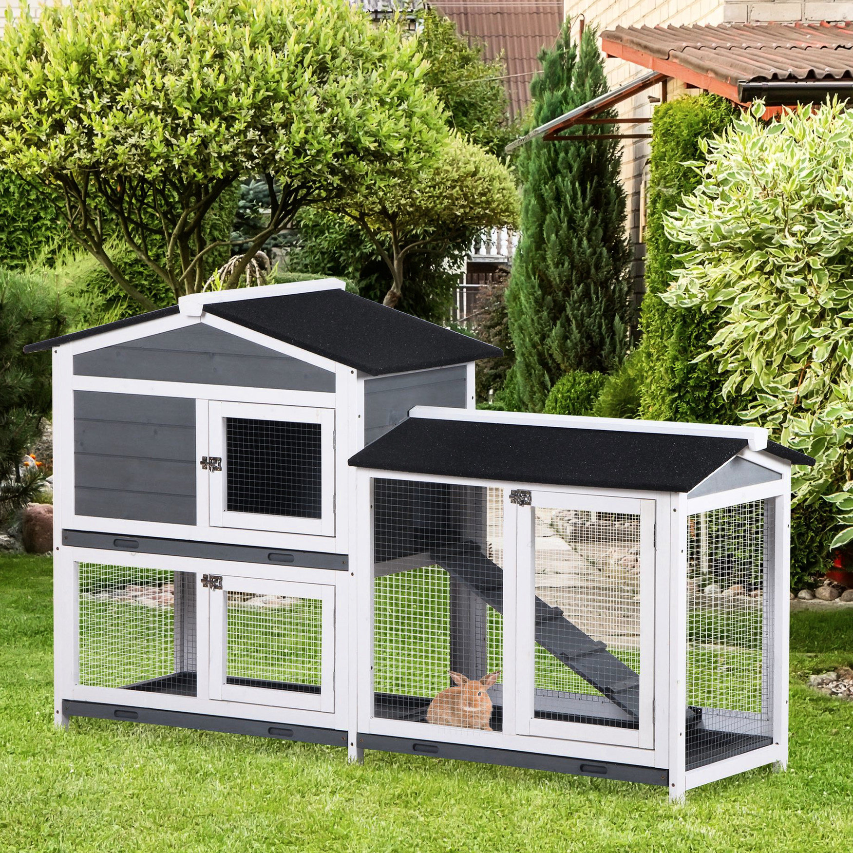 Door Rabits Tucker Murphy Pet™ 62