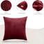 Square Scatter Cushion Cushion Cover-343984977