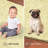 Melanson Washable Indoor Rug-2136208212